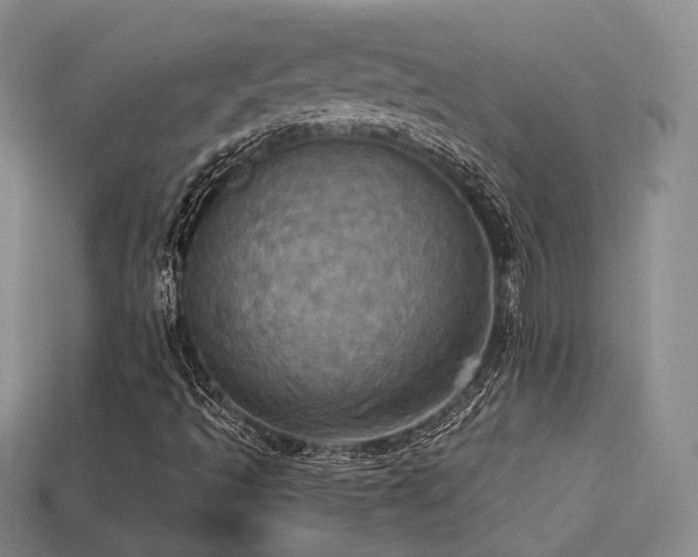 X0000113231493200909101200