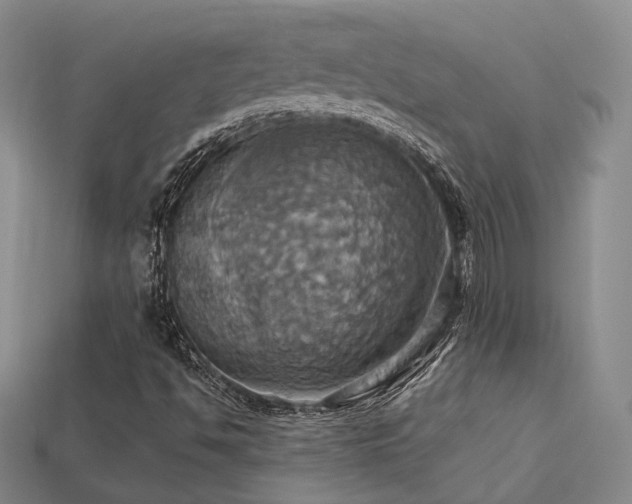 X0000113231494200909101200