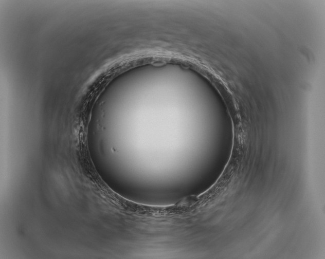X0000113231495200909101200