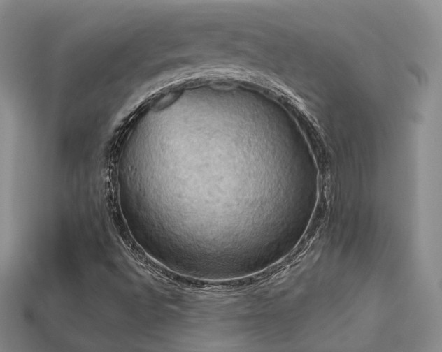 X0000113231496200909101200