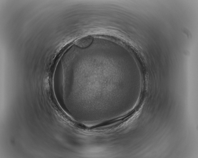 X0000113231497200909101200