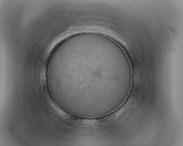X0000113231498200909101200