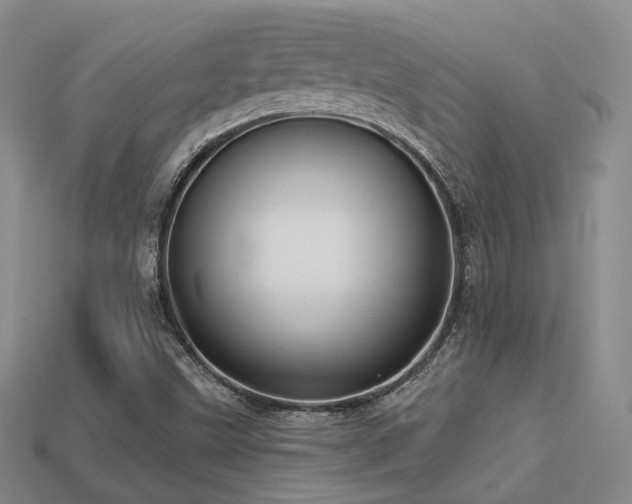 X0000113231499200909101200