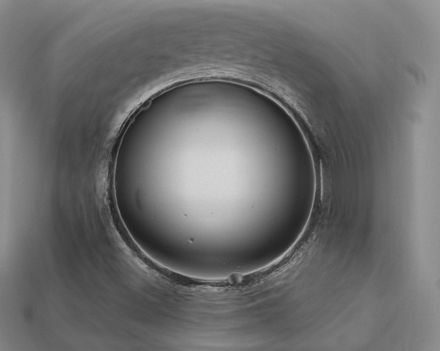 X0000113231500200909101200