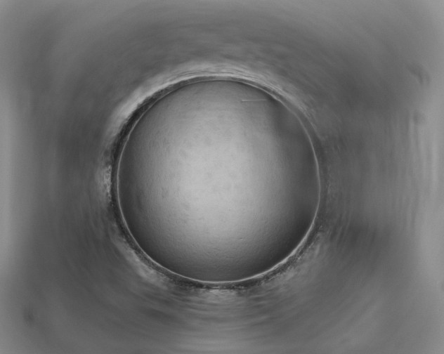 X0000113231503200909101200
