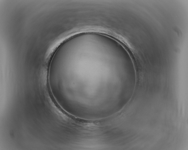 X0000113231504200909101200