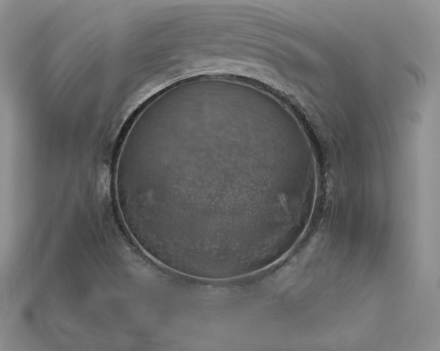 X0000113231505200909101200