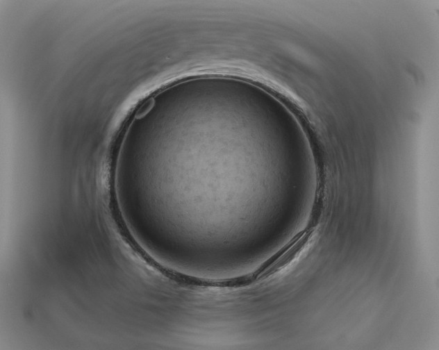 X0000113231506200909101200
