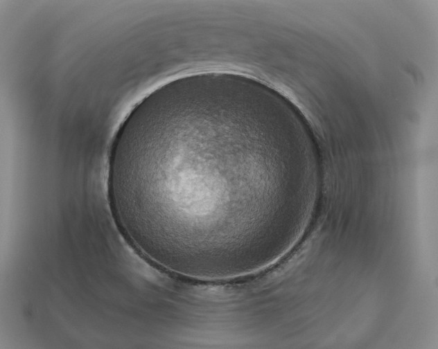 X0000113231508200909101200