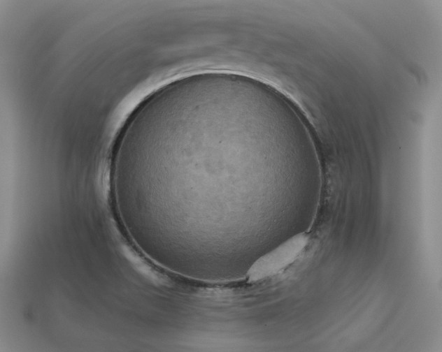 X0000113231511200909101200