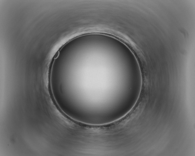 X0000113231512200909101200