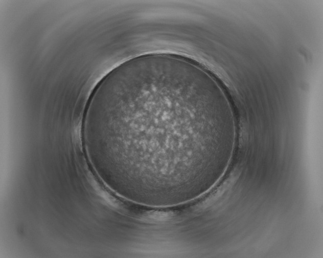 X0000113231513200909101200