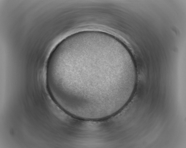 X0000113231514200909101200
