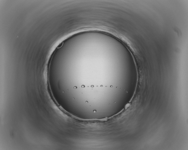 X0000113231516200909101200
