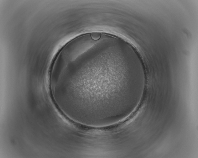 X0000113231517200909101200