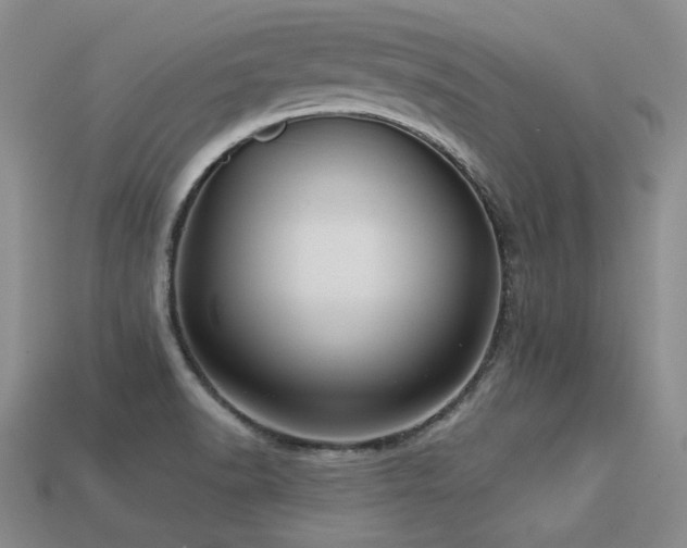 X0000113231518200909101200