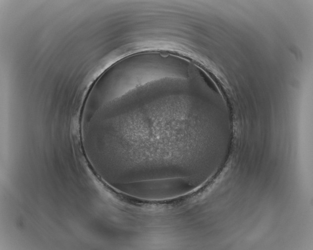 X0000113231521200909101200