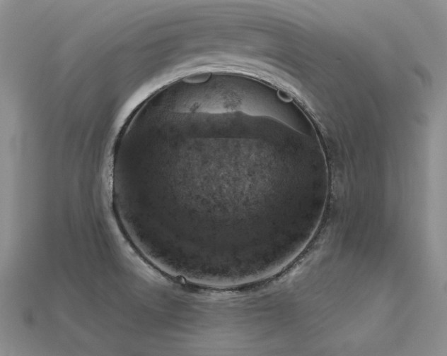 X0000113231522200909101200