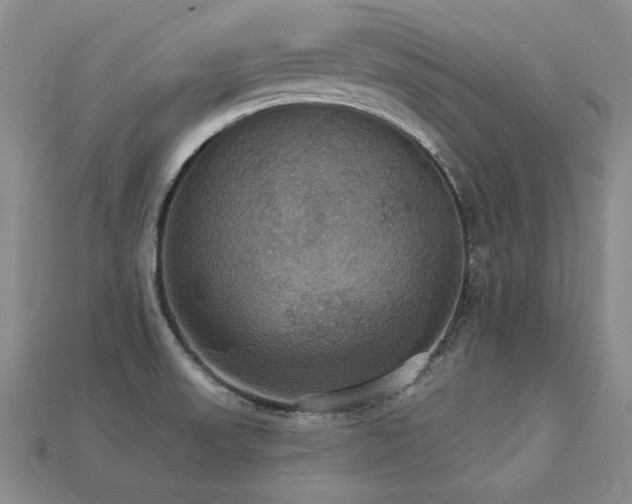 X0000113231523200909101200