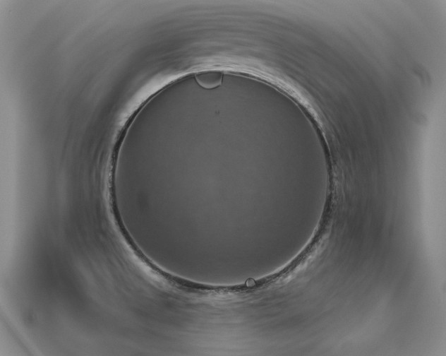 X0000113231525200909101200