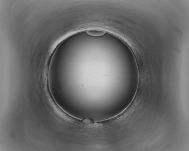 X0000113231526200909101200