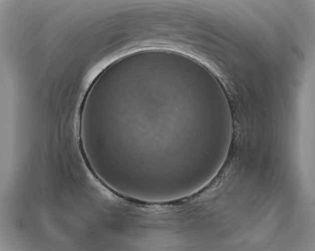 X0000113231527200909101200