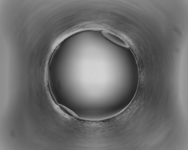 X0000113231528200909101200