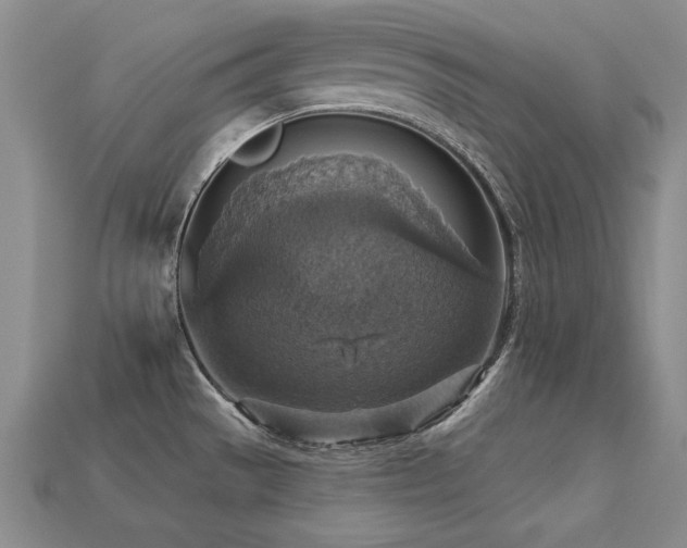X0000113231529200909101200