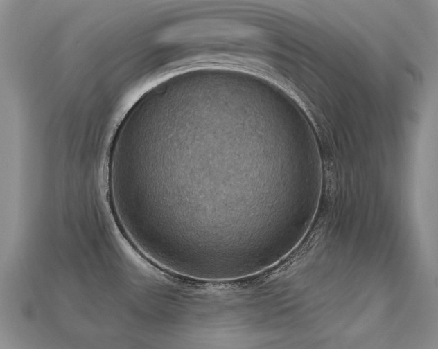 X0000113231531200909101200