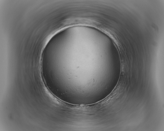 X0000113231532200909101200