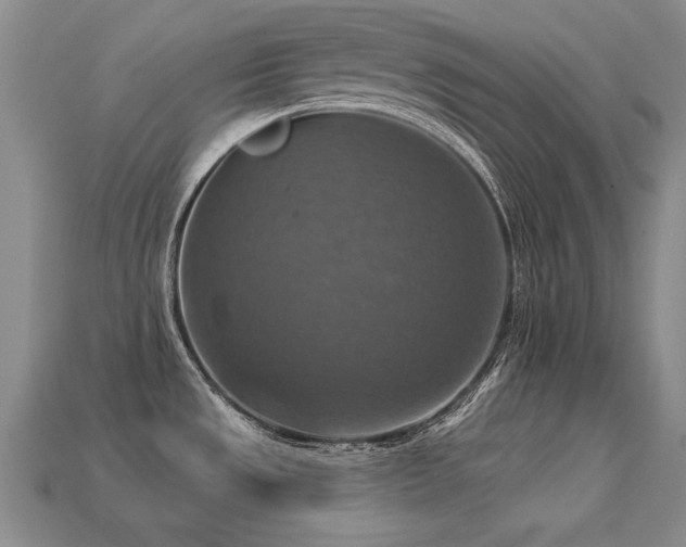 X0000113231533200909101200