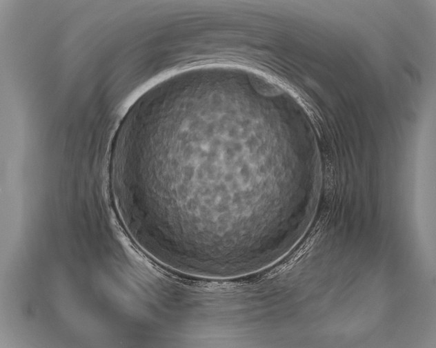 X0000113231534200909101200