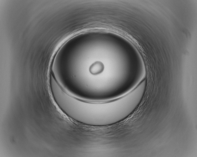 X0000113231536200909101200
