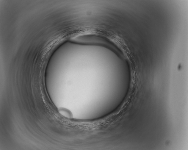 X0000113230001200909171549