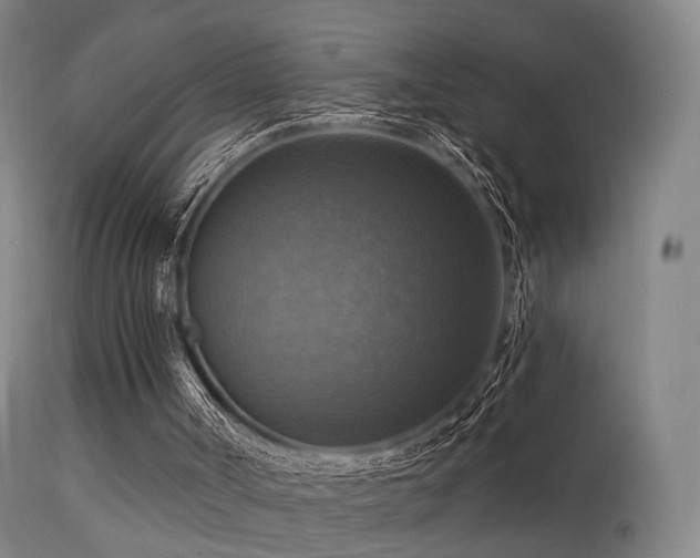 X0000113230002200909171549