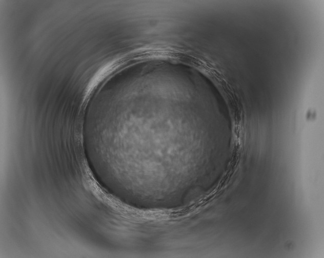 X0000113230004200909171549