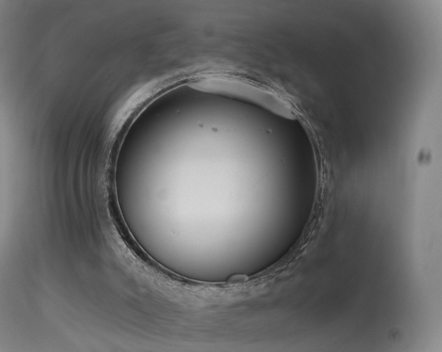 X0000113230007200909171549