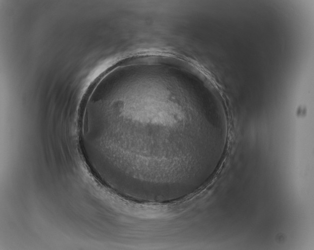 X0000113230008200909171549