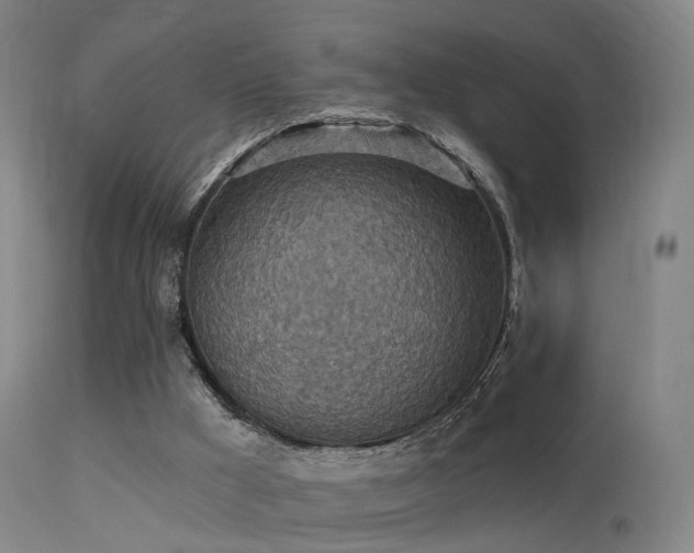 X0000113230009200909171549