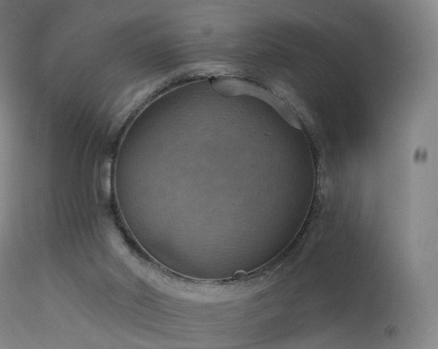 X0000113230014200909171549