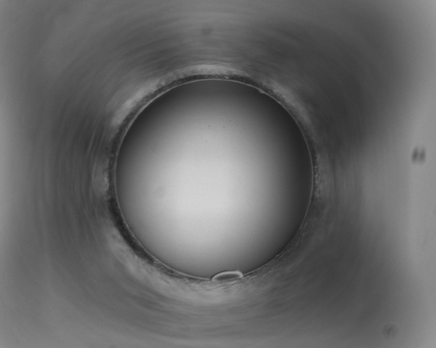 X0000113230015200909171549