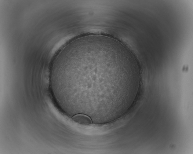 X0000113230016200909171549