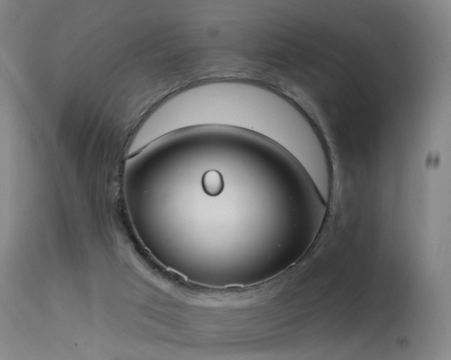 X0000113230017200909171549