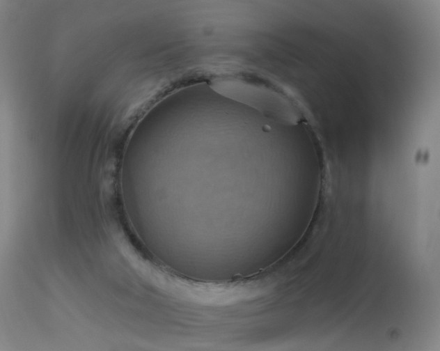 X0000113230018200909171549