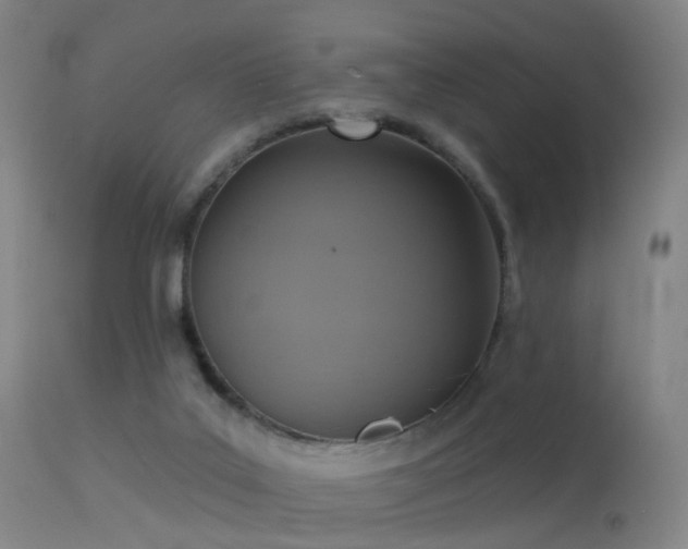 X0000113230019200909171549