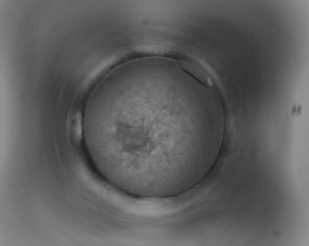 X0000113230020200909171549