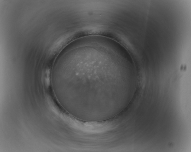 X0000113230022200909171549