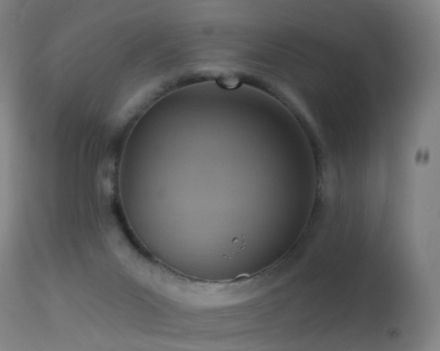 X0000113230023200909171549