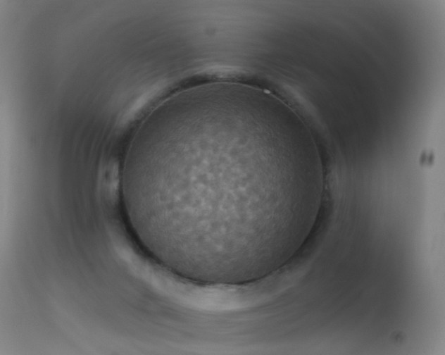 X0000113230024200909171549