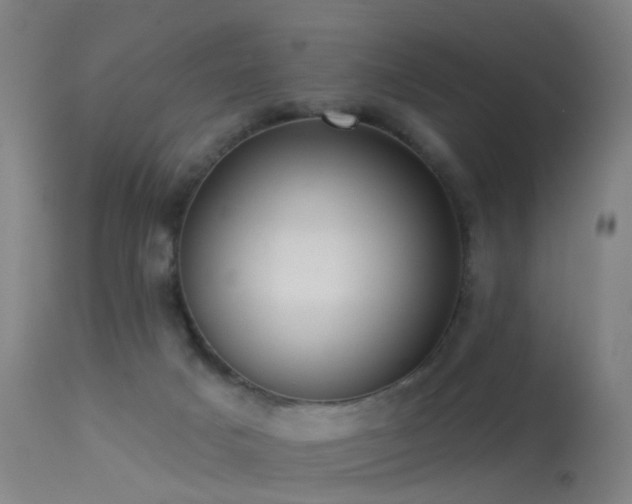 X0000113230025200909171549